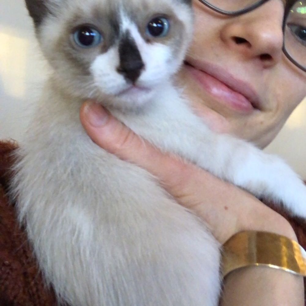 Meet your Posher, Carla